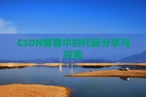 CSDN博客中的代码分享与探索