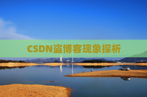 CSDN盗博客现象探析
